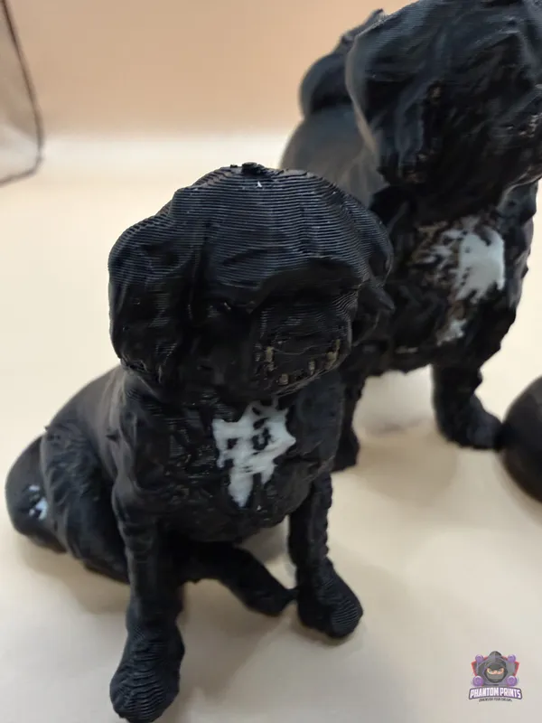 A Multi-Color Pet Statue, Layer by Layer